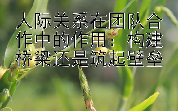 人际关系在团队合作中的作用：构建桥梁还是筑起壁垒