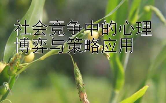 社会竞争中的心理博弈与策略应用