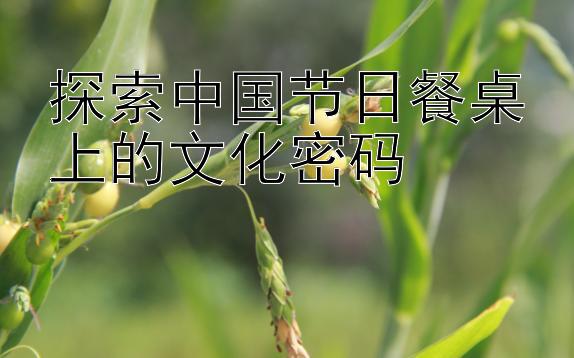 探索中国节日餐桌上的文化密码