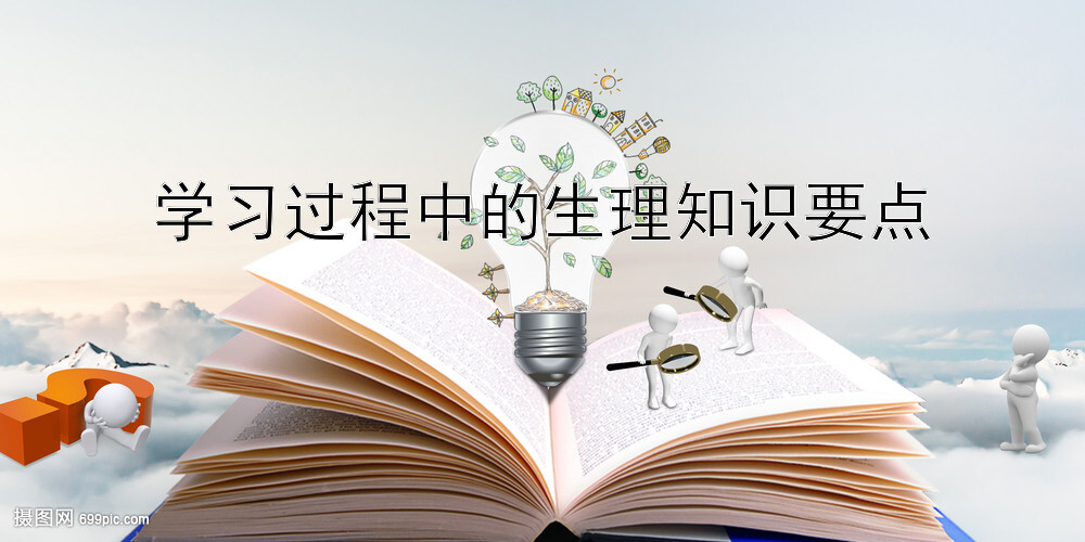 学习过程中的生理知识要点