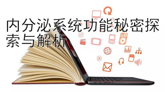 内分泌系统功能秘密探索与解析