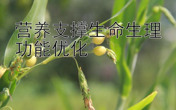 营养支撑生命生理功能优化