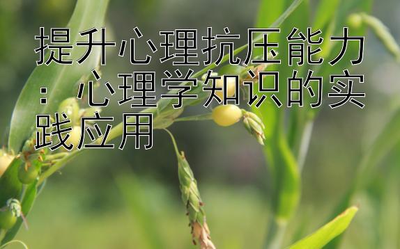 提升心理抗压能力：心理学知识的实践应用