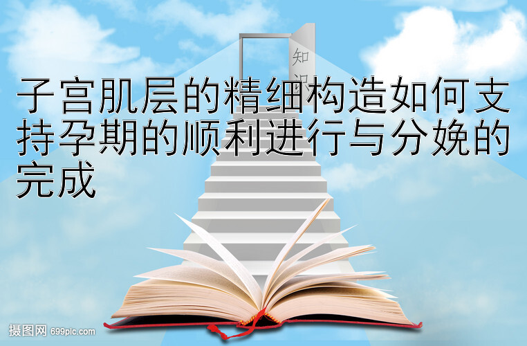 子宫肌层的精细构造如何支持孕期的顺利进行与分娩的完成