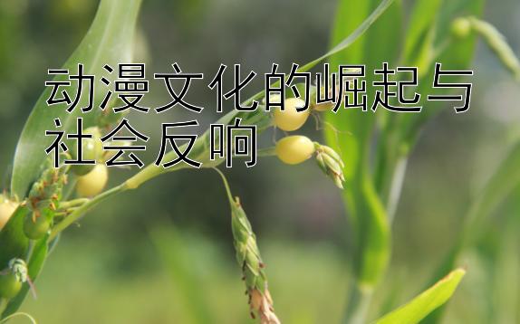 动漫文化的崛起与社会反响