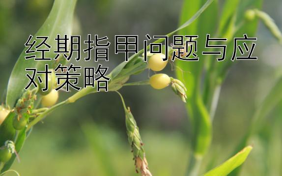 经期指甲问题与应对策略