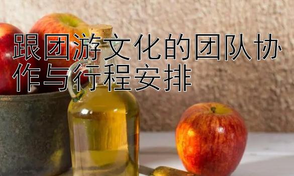 跟团游文化的团队协作与行程安排