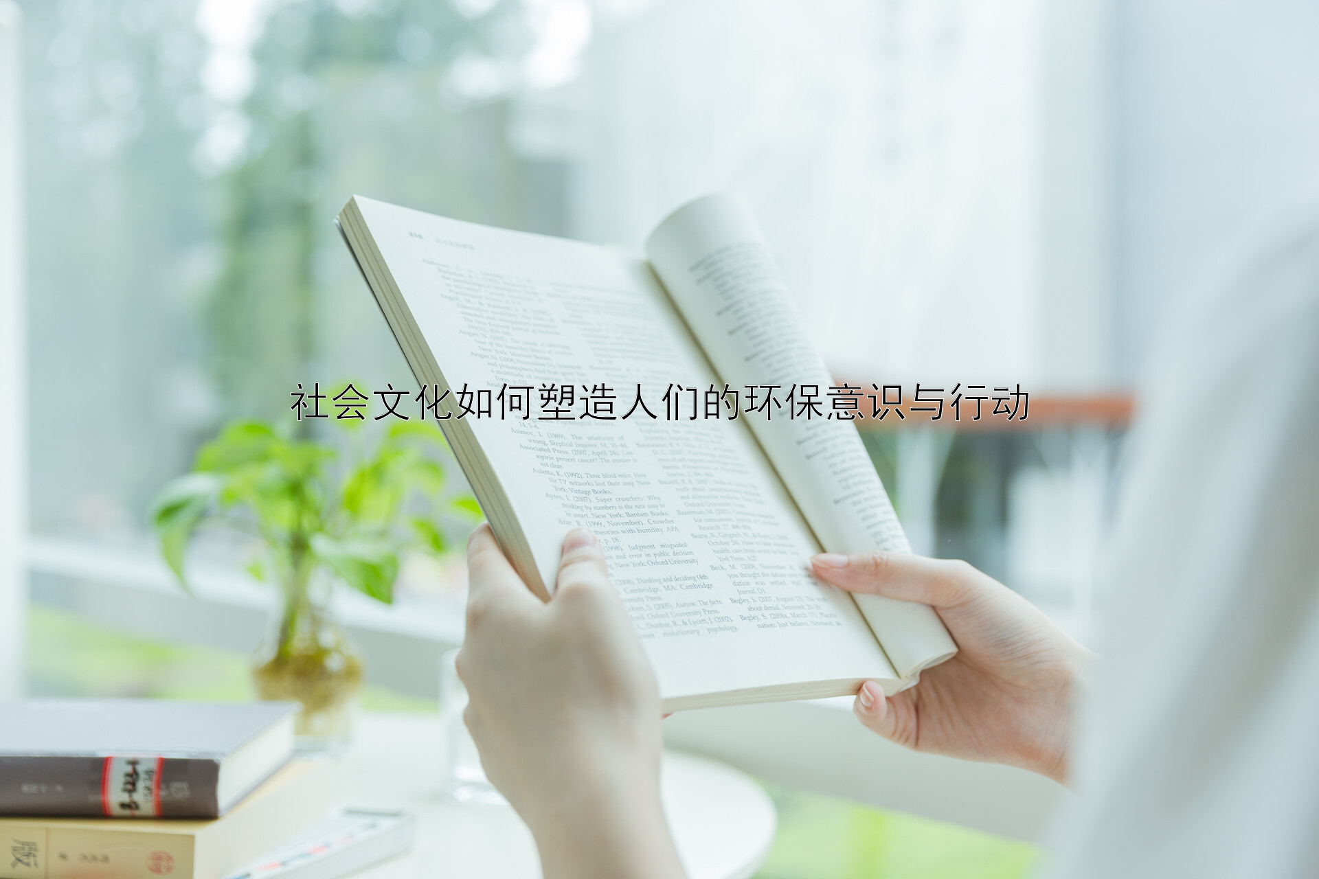 社会文化如何塑造人们的环保意识与行动