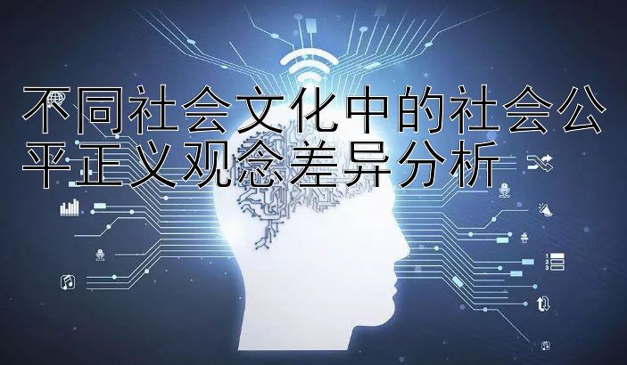 不同社会文化中的社会公平正义观念差异分析