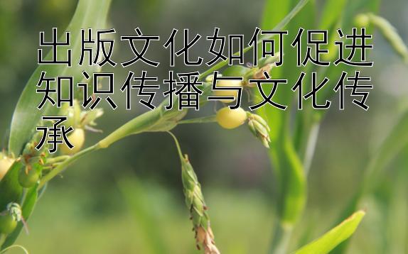 出版文化如何促进知识传播与文化传承